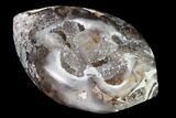 Chalcedony Replaced Gastropod With Sparkly Quartz - India #165156-1